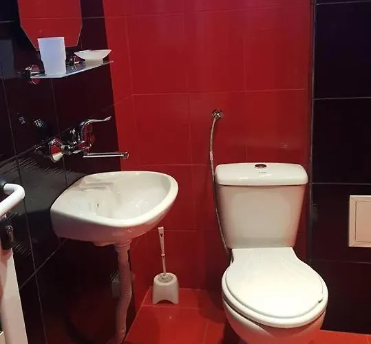 Guest house Chinar 08